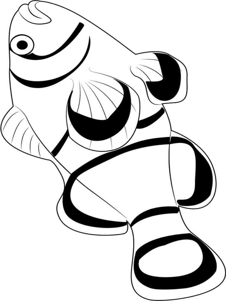 Download 267+ Fish Herring Coloring Pages PNG PDF File